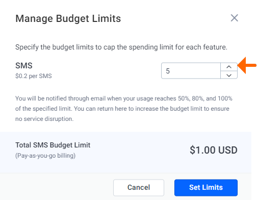 Set budget limits